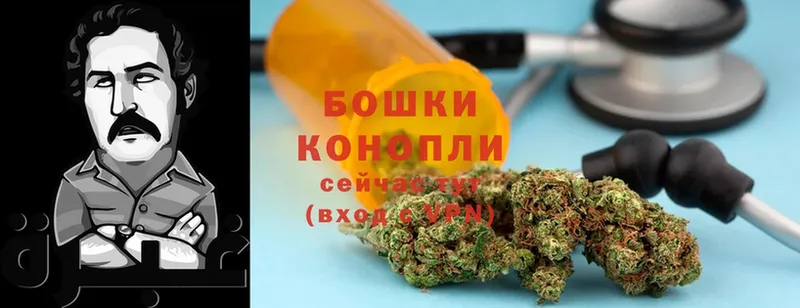 закладки  Кудрово  Шишки марихуана Bruce Banner 